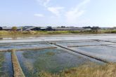 marais salants de guérande