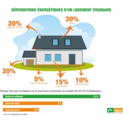 igloo, spécialiste de la ouate de cellulose implanté en vendée et partenaire local de maisons bouvier